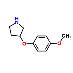 3-(4-Methoxyphenoxy)pyrrolidine结构式