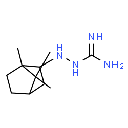 Guanidine, (2-bornylamino)-, (+)- (8CI) Structure