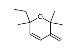 2,6,6-Trimethyl-2-ethyl-5-methylen-hydropyran Structure