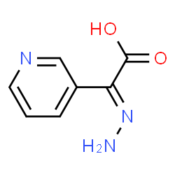 3-Pyridineaceticacid,alpha-hydrazono-,(E)-(9CI) structure