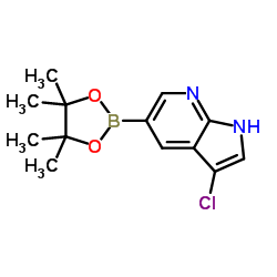 3-氯-5-(4,4,5,5-四甲基-1,3,2-二氧代苯并呋喃-2-基)-1H-吡咯[2,3-b]吡啶结构式