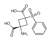 trans-1-amino-3-(phenylsulfonyl)cyclobutane-1,3-dicarboxylic acid Structure