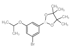 2-(3-溴-5-异丙氧基苯基)-4,4,5,5-四甲基-1,3,2-二氧硼杂环戊烷图片