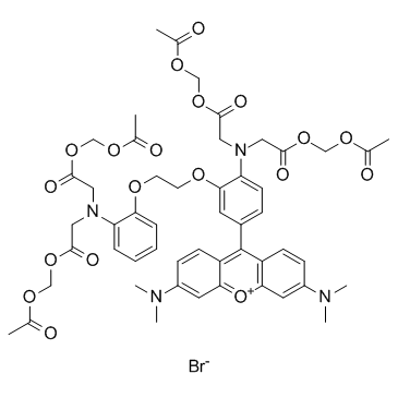 Rhod-2 AM structure