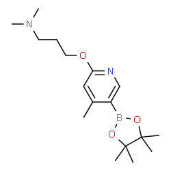 N,N-dimethyl-3-((4-Methyl-5-(4,4,5,5-tetramethyl-1,3,2-dioxaborolan-2-yl)pyridin-2-yl)oxy)propan-1-amine Structure
