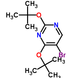 2,4-二叔丁氧基-5-溴嘧啶图片