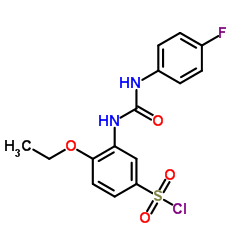 4-ETHOXY-3-[3-(4-FLUORO-PHENYL)-UREIDO]-BENZENE SULFONYL CHLORIDE图片