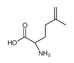 (2S)-2-amino-5-methylhex-5-enoic acid结构式