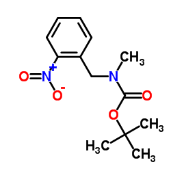 2-Methyl-2-propanyl methyl(2-nitrobenzyl)carbamate结构式