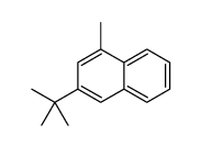 3-(tert-butyl)-1-methylnaphthalene Structure