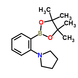1-(2-(4,4,5,5-四甲基-1,3,2-二氧硼杂环戊烷-2-基)苯基)吡咯烷结构式