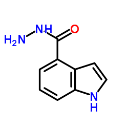 1H-Indole-4-carbohydrazide Structure