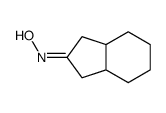 N-[(3aS,7aS)-1,3,3a,4,5,6,7,7a-octahydroinden-2-ylidene]hydroxylamine结构式