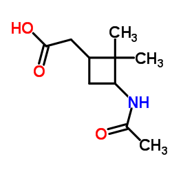 (3-Acetamido-2,2-dimethylcyclobutyl)acetic acid结构式