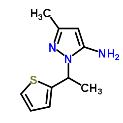 3-Methyl-1-[1-(2-thienyl)ethyl]-1H-pyrazol-5-amine结构式