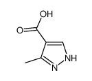 5-甲基-1H-吡唑-4-羧酸结构式