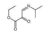 ethyl 2-oxo-3-propan-2-yliminopropanoate结构式