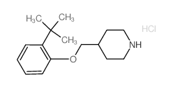 2-(tert-Butyl)phenyl 4-piperidinylmethyl ether hydrochloride Structure