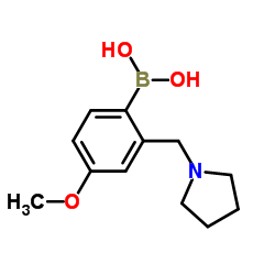 4-甲氧基-2-(吡咯烷-1-基甲基)苯基硼酸图片