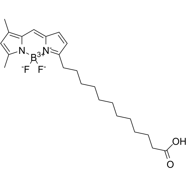 BODIPY FL C12 Structure