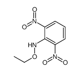 N-ethoxy-2,6-dinitroaniline结构式
