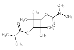 Carbamic acid, dimethyl-,2,2,4,4-tetramethyl-1,3-cyclobutylene ester, trans- (8CI) Structure