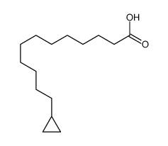 12-cyclopropyldodecanoic acid结构式