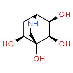 2-Azabicyclo[2.2.2]octane-4,5,6,8-tetrol,(1R,4R,5R,6R,8S)-rel-(9CI) structure