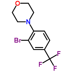 892502-13-5 structure