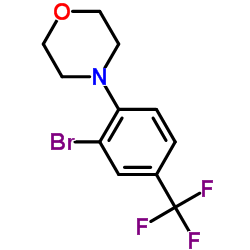 4-[2-Bromo-4-(trifluoromethyl)phenyl]morpholine结构式