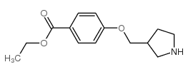 4-(Pyrrolidin-3-ylmethoxy)-benzoic acid ethyl ester结构式