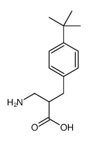 2-(aminomethyl)-3-(4-tert-butylphenyl)propanoic acid Structure