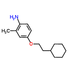 4-(2-Cyclohexylethoxy)-2-methylaniline Structure