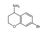 7-溴苯并二氢吡喃-4-胺图片