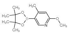 2-甲氧基-4-甲基-5-(4,4,5,5-四甲基-1,3,2-二氧硼杂环戊烷-2-基)吡啶图片