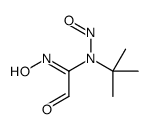 N-tert-butyl-N'-hydroxy-N-nitroso-2-oxoethanimidamide Structure