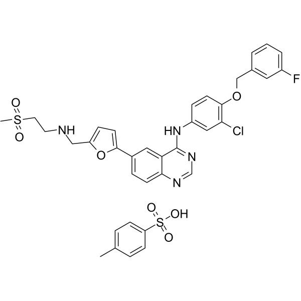 Lapatinib (4-Methylbenzenesulfonate) picture