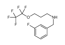 N-(3-Fluorobenzyl)-3-(pentafluoroethoxy)-1-propanamine结构式