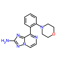 8-[2-(4-Morpholinyl)phenyl][1,2,4]triazolo[1,5-a]pyrazin-2-amine Structure