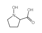 N-Hydroxy-L-proline structure