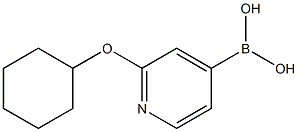 2-(Cyclohexyloxy)pyridine-4-boronic acid图片
