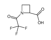 2-Azetidinecarboxylic acid, 1-(trifluoroacetyl)-, (2S)- (9CI)结构式
