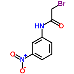 2-Bromo-N-(3-nitrophenyl)acetamide结构式