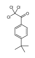 1-(4-tert-butylphenyl)-2,2,2-trichloroethanone Structure