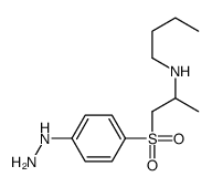 N-[1-(4-hydrazinylphenyl)sulfonylpropan-2-yl]butan-1-amine结构式