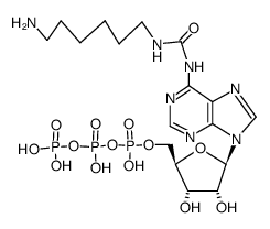 N6-(6-amino-hexylcarbamoyl)-O5'-(tetrahydroxy-[1]triphosphoryl)-adenosine结构式