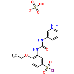 4-ETHOXY-3-(3-PYRIDIN-3-YL-UREIDO)-BENZENESULFONYL CHLORIDE HYDROGEN SULFATE picture