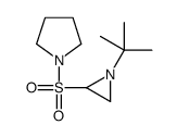 1-(1-tert-butylaziridin-2-yl)sulfonylpyrrolidine Structure
