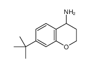 7-tert-butyl-3,4-dihydro-2H-chromen-4-amine结构式