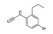 (4-bromo-2-propylphenyl)cyanamide Structure